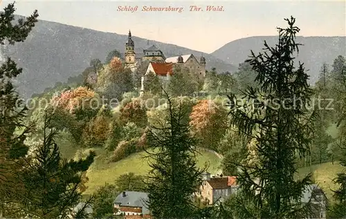 AK / Ansichtskarte Schwarzburg_Thueringer_Wald Panorama Blick zum Schloss Schwarzburg_Thueringer