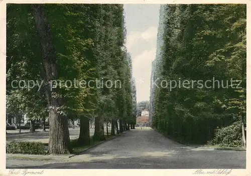 AK / Ansichtskarte Bad_Pyrmont Allee mit Schloss Bad_Pyrmont