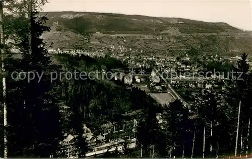 AK / Ansichtskarte Bad_Blankenburg Panorama Bad_Blankenburg