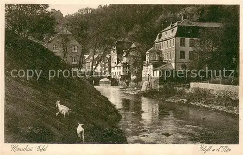 AK / Ansichtskarte Monschau Rur Eifel Monschau