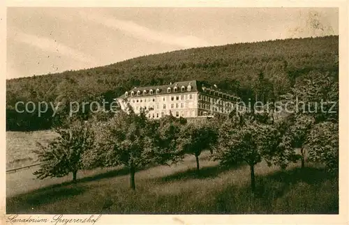 AK / Ansichtskarte Heidelberg_Neckar Sanatorium Speyerershof Heidelberg Neckar