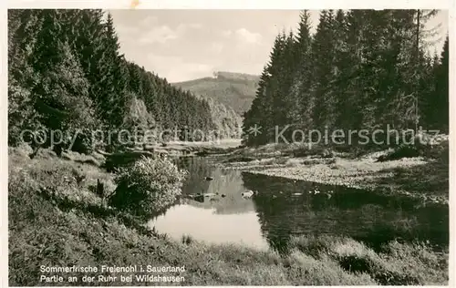 AK / Ansichtskarte Freienohl_Sauerland Ruhrpartie bei Wildshausen Freienohl_Sauerland