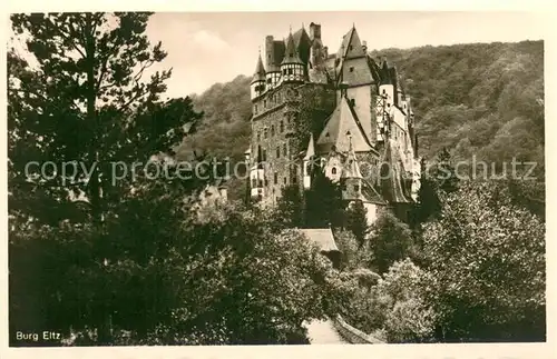 AK / Ansichtskarte Wierschem Burg Eltz Wierschem