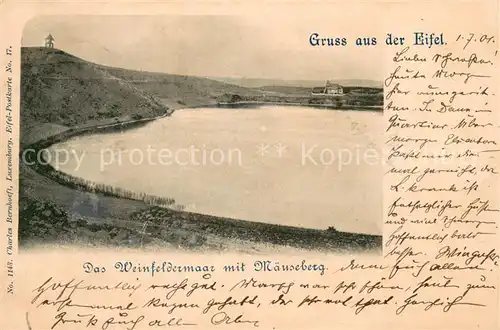 AK / Ansichtskarte Daun_Eifel Weinfeldermaar mit Maeuseberg Daun_Eifel