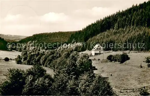 AK / Ansichtskarte Siedlinghausen Haus am Walde Panorama Siedlinghausen