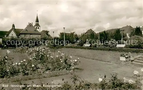 AK / Ansichtskarte Bad_Hoenningen Rosengarten Bad_Hoenningen