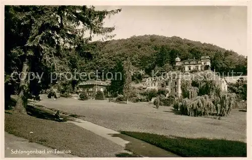 AK / Ansichtskarte Schlangenbad_Taunus Parkanlagen Cafe Marianne Villa Ella Schlangenbad_Taunus