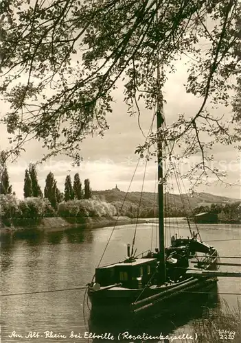 AK / Ansichtskarte Eltville_Rhein Partie am Altrhein Fischerboot Blick zur Rosalinenkapelle Handabzug Eltville_Rhein