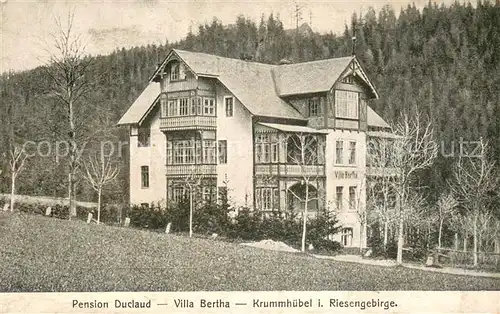 AK / Ansichtskarte Krummhuebel_Karpacz_Riesengebirge Pension Duclaud Villa Bertha 