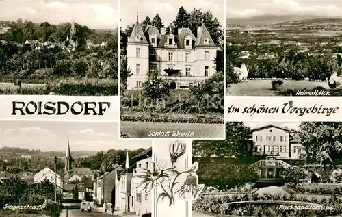 AK / Ansichtskarte Roisdorf Panorama Heimatblick Schloss Wrede Siegesstrasse Sanatorium Roisdorf