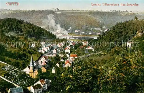 AK / Ansichtskarte Krippen_Bad_Schandau Sendigs Villenkolonie Neu Schandau Krippen_Bad_Schandau