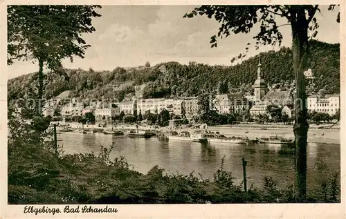 AK / Ansichtskarte Bad_Schandau Gesamtansicht mit Anlegestelle Bad_Schandau