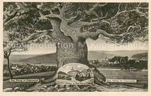 AK / Ansichtskarte Bad_Koenig_Odenwald Alter Baum Schloss Panorama Bad_Koenig_Odenwald