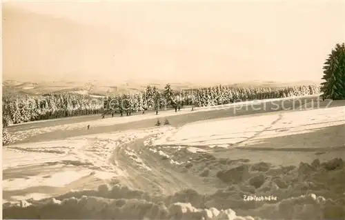 AK / Ansichtskarte Auerbach_Vogtland Zoebischhoehe im Schnee Auerbach_Vogtland