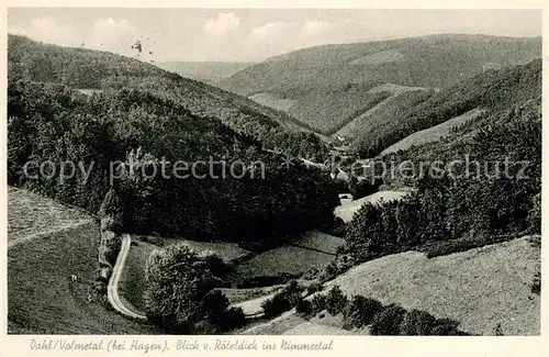 AK / Ansichtskarte Dahl_Hagen Blick vom Roeteldiek ins Nimmertal Dahl_Hagen