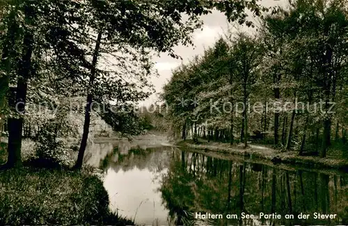 AK / Ansichtskarte Haltern_See Partie an der Stever Haltern See