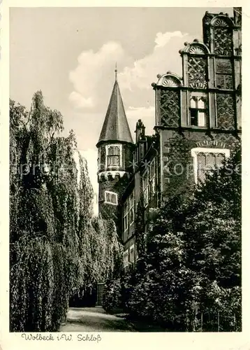 AK / Ansichtskarte Wolbeck Schloss Park Wolbeck