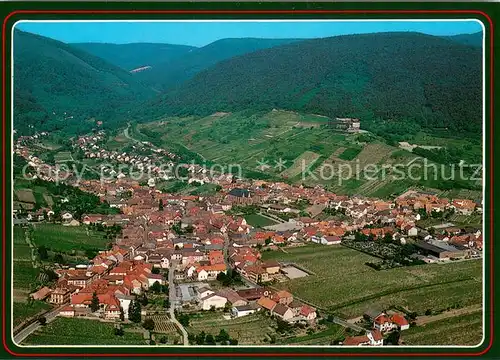 AK / Ansichtskarte St_Martin_Rheinpfalz Fliegeraufnahme St_Martin_Rheinpfalz