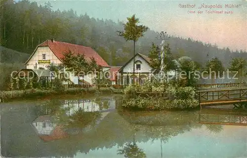 AK / Ansichtskarte Eisenberg_Thueringen Gasthof Naupolds Muehle mit Teich Eisenberg Thueringen