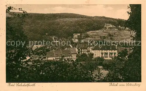 AK / Ansichtskarte Bad_Salzdetfurth Blick vom Sotenberg Bad_Salzdetfurth