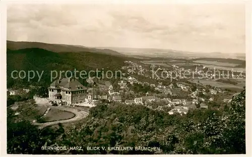 AK / Ansichtskarte Gernrode_Harz Blick vom Einzelnen Baeumchen Gernrode Harz