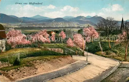 AK / Ansichtskarte Muffendorf Pfirsichbluete Panorama Muffendorf