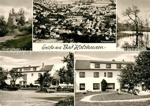 AK / Ansichtskarte Bad_Holzhausen_Luebbecke Totalansicht Fischteich Gartenansicht Ruine Limberg Bad_Holzhausen_Luebbecke