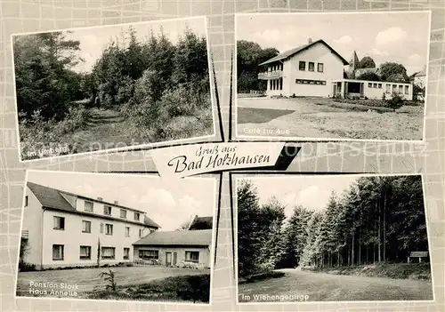 AK / Ansichtskarte Bad_Holzhausen_Luebbecke Wiehengebirge Limberg Cafe Zur Aue Bad_Holzhausen_Luebbecke