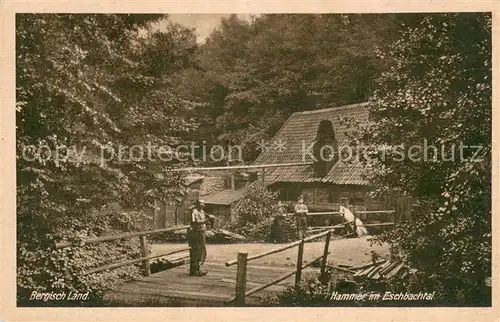 AK / Ansichtskarte Schloss_Burg_Wupper Hammer im Eschbachtal Schloss_Burg_Wupper