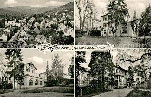 AK / Ansichtskarte Hofheim_Taunus Panorama Sanatorium Details Hofheim Taunus