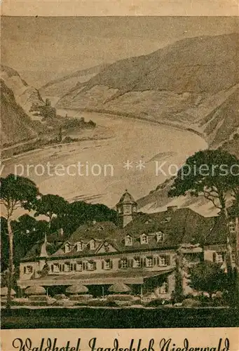 AK / Ansichtskarte Ruedesheim_am_Rhein Waldhotel Jagdschloss Niederwald 