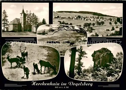 AK / Ansichtskarte Grebenhain Teilansichten bei Vogelsberg Grebenhain