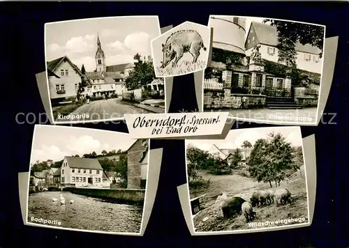 AK / Ansichtskarte Oberndorf_Jossgrund Kirchpartie Ehrenmalpartie Wildschweingehege Bachpartie Oberndorf Jossgrund