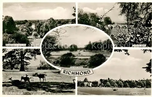 AK / Ansichtskarte Richmond_upon_Thames Landscape Richmond Hill Bridge River Thames Deer in Richmond Park The Green 