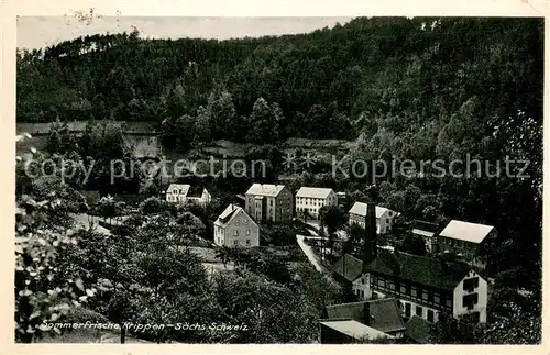 AK / Ansichtskarte Krippen_Bad_Schandau Teilansicht Krippen_Bad_Schandau