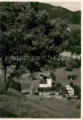 AK / Ansichtskarte Liechtenstein_Fuerstentum Pension Masescha 