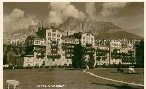 AK / Ansichtskarte Cortina_d_Ampezzo Hotel Carezza Cortina_d_Ampezzo