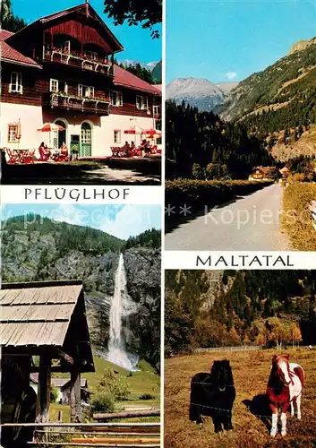 AK / Ansichtskarte Maltatal_Kaernten Alpenhotel Pflueglhof Wasserfall Ponys Maltatal Kaernten