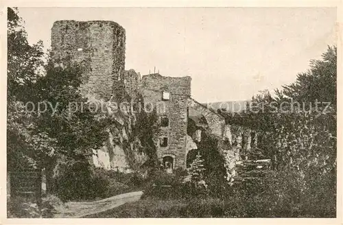 AK / Ansichtskarte Neustadt_Harz Burgruine Hohenstein Neustadt_Harz