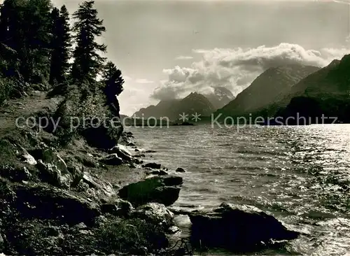 AK / Ansichtskarte Silsersee Uferpartie am See Oberengadin Silsersee