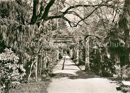 AK / Ansichtskarte Brissago_TI Isole di Brissago Parco botanico del Cantone Ticino Brissago TI