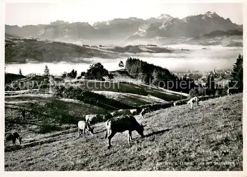 AK / Ansichtskarte Gaebris Am Weg zum Ort Viehweide Kuehe Gais mit Saentiskette Appenzeller Alpen Gaebris