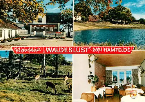 AK / Ansichtskarte Hamfelde_Lauenburg Gasthof waldeslust Teilansichten m. Umgebung Hamfelde_Lauenburg