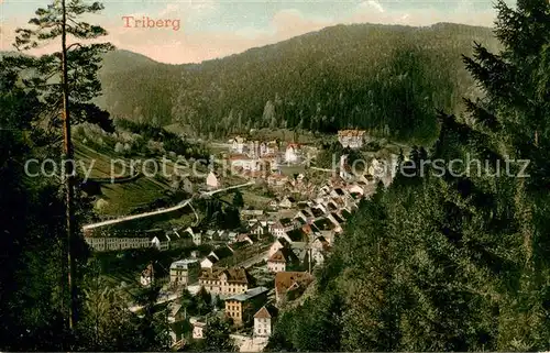 AK / Ansichtskarte Triberg_Schwarzwald Panorama Triberg Schwarzwald