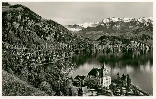 AK / Ansichtskarte Vitznau_Witznau_Vierwaldstaettersee_LU Parkhotel 