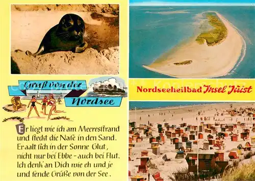 AK / Ansichtskarte Insel_Juist Robbe Fliegeraufnahme Badestrand Insel_Juist