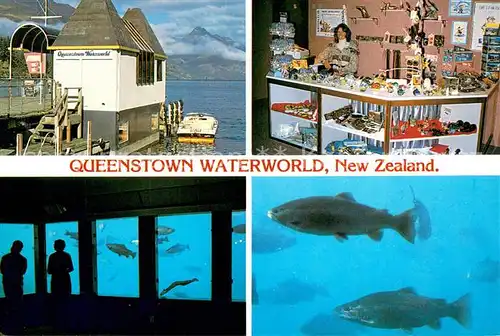 AK / Ansichtskarte Queenstown_Otago Waterworld Holiday Resort Queenstown_Otago