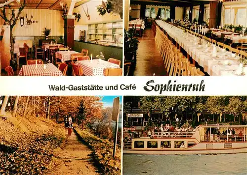 AK / Ansichtskarte Peine Wald Gaststaette und Cafe Sophienruh Gastraeume Waldweg Fahrgastschiff Peine