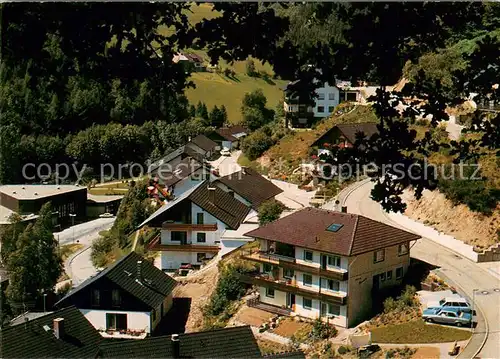 AK / Ansichtskarte Bad_Rippoldsau Schapbach Pension Bad_Rippoldsau Schapbach