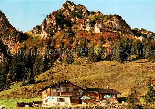 AK / Ansichtskarte Bruendlingalm_1161m_Hochfelln mit Hochfelln 